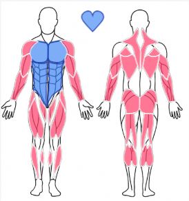 Diagnostic
